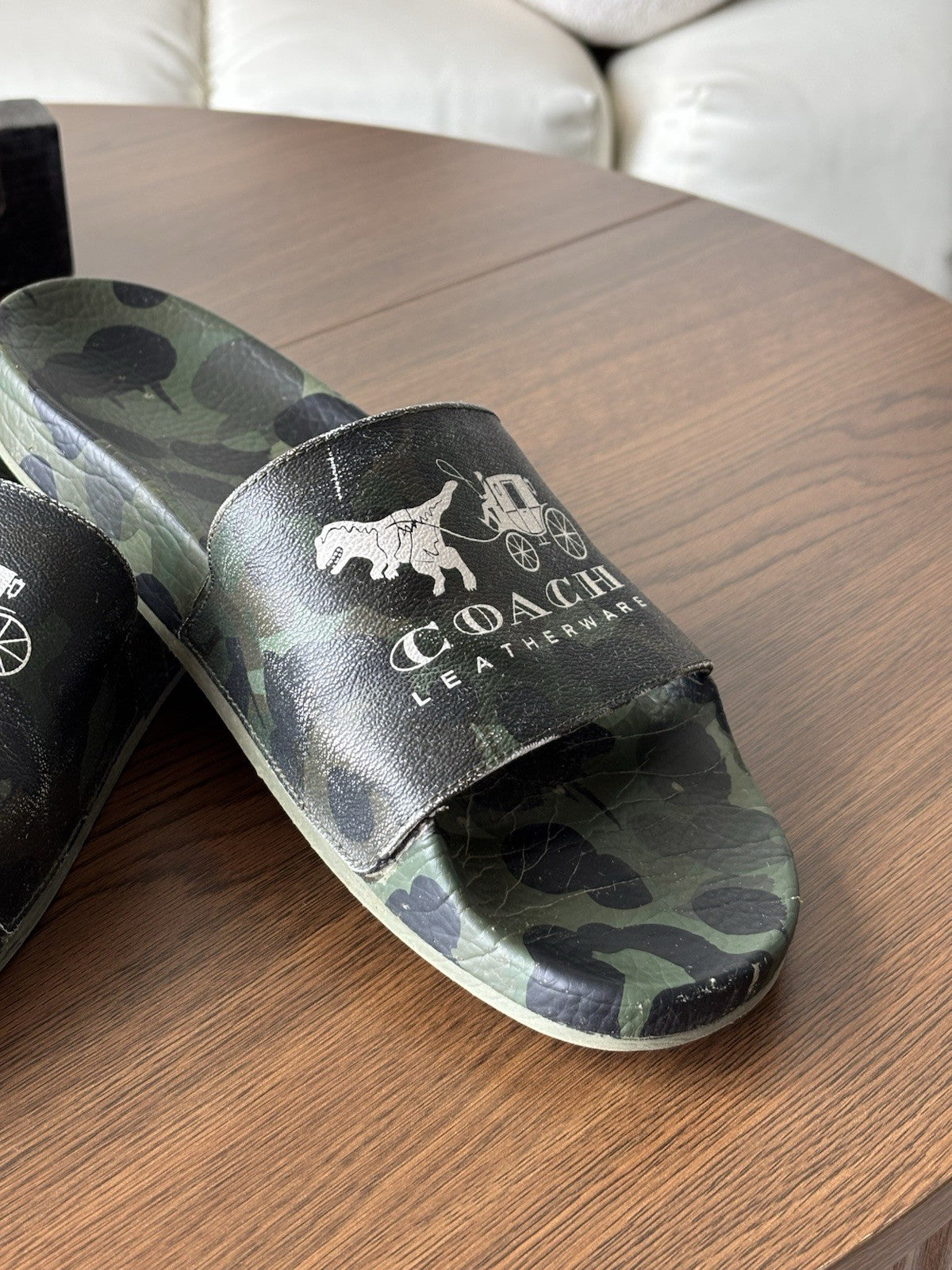 COACH Designer Pool Slide Shoe Camo Dinosaur Rexy Logo Sandals Men 11 (org $225)