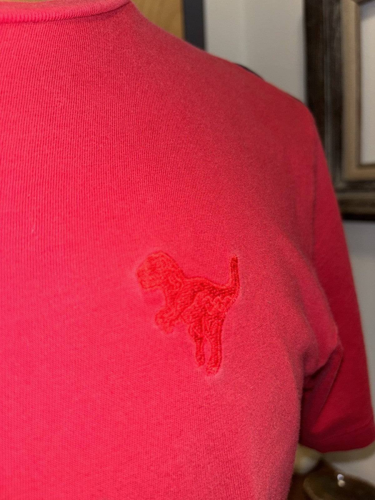 Rare Designer COACH Brand Red REXY Sport Signature T-Shirt Size S (org $195)
