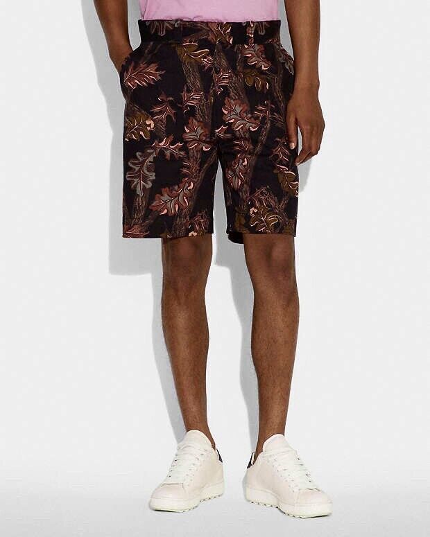 COACH Runway Limited Edition Fall/Leaf Camouflage Printed Shorts Size 30 ($350)