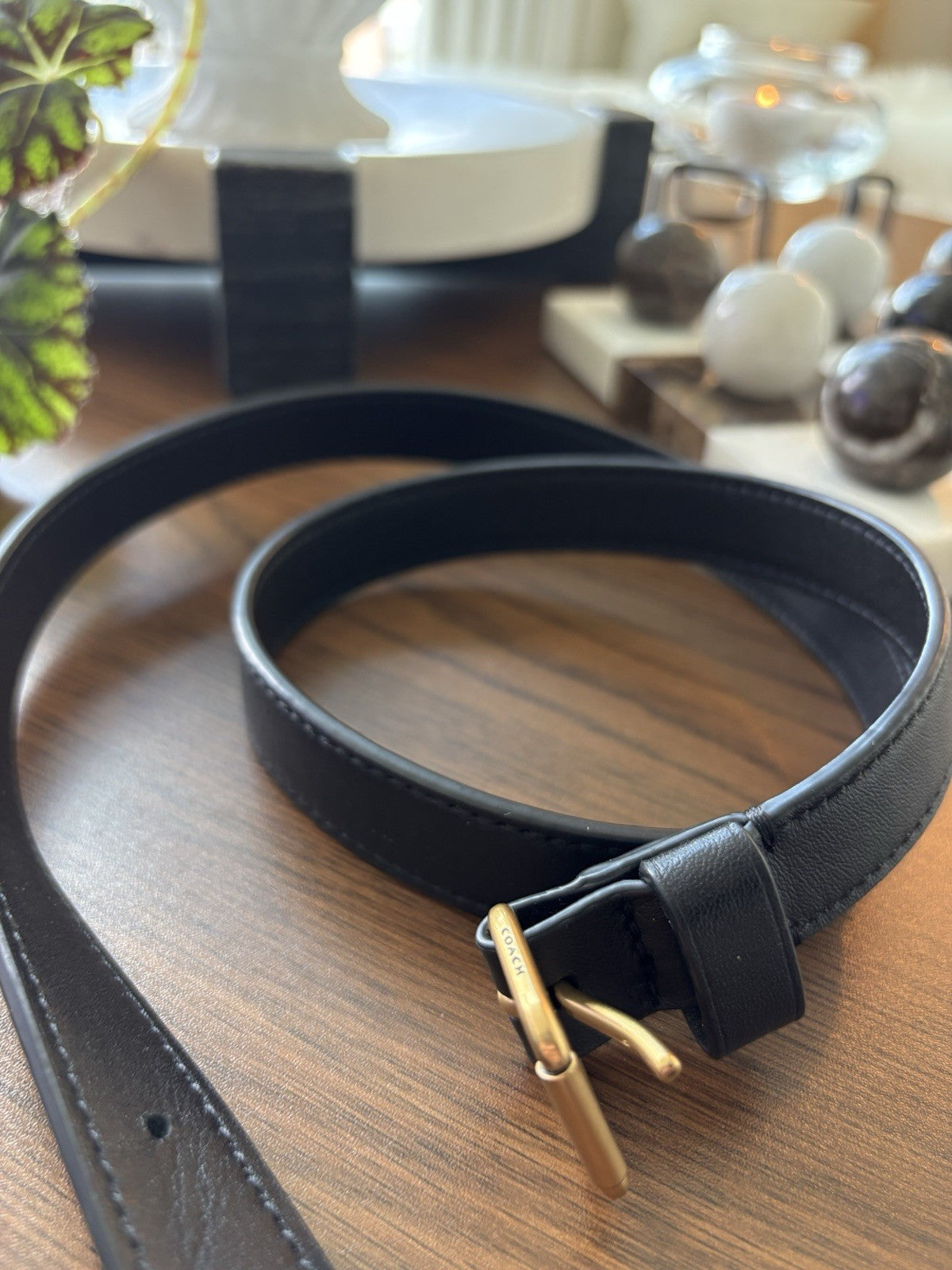 COACH Designer Belt Black Thin Leather Classic Gold Buckle Size 31-36 (org $195)