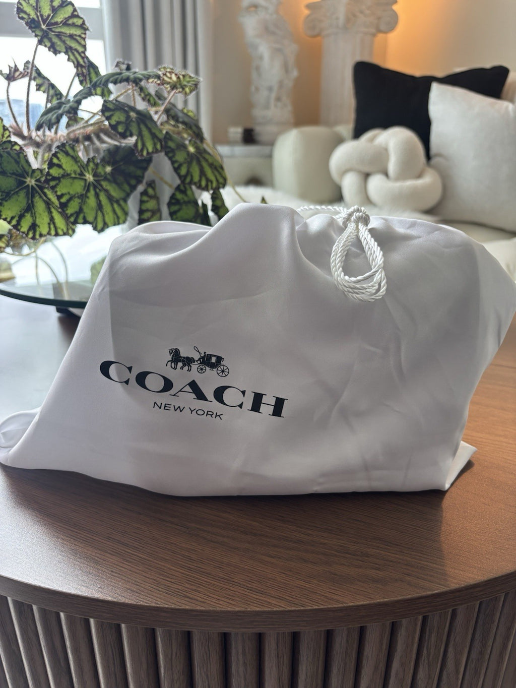 COACH Idol Red Leather Logo Plaque Chain Shoulder Bag Crossbody Strap (org $695)