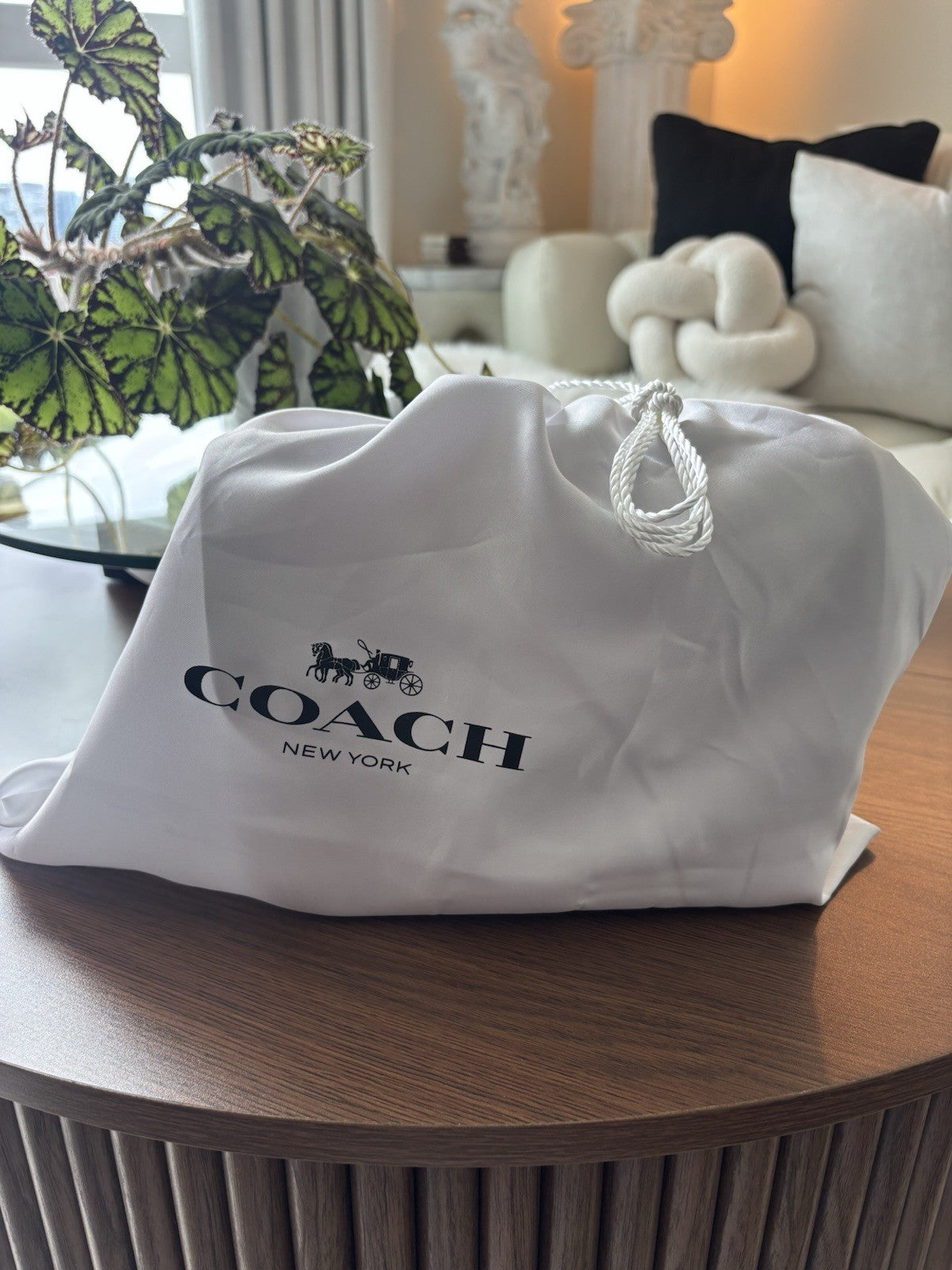 COACH Idol Red Leather Logo Plaque Chain Shoulder Bag Crossbody Strap (org $695)