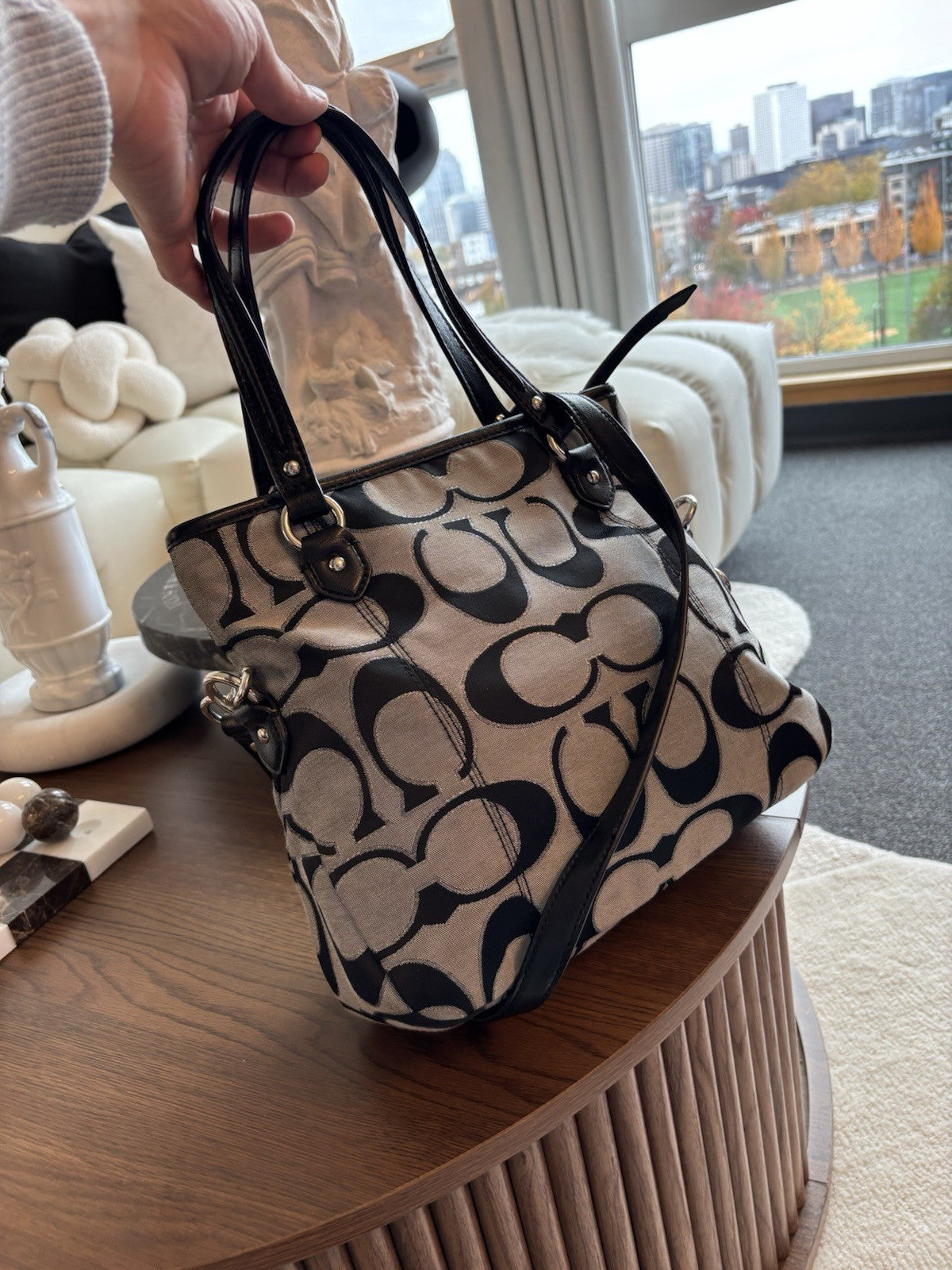 Designer COACH Brand Daisy Outline Signature Mia Crossbody F23940 Silver/Black