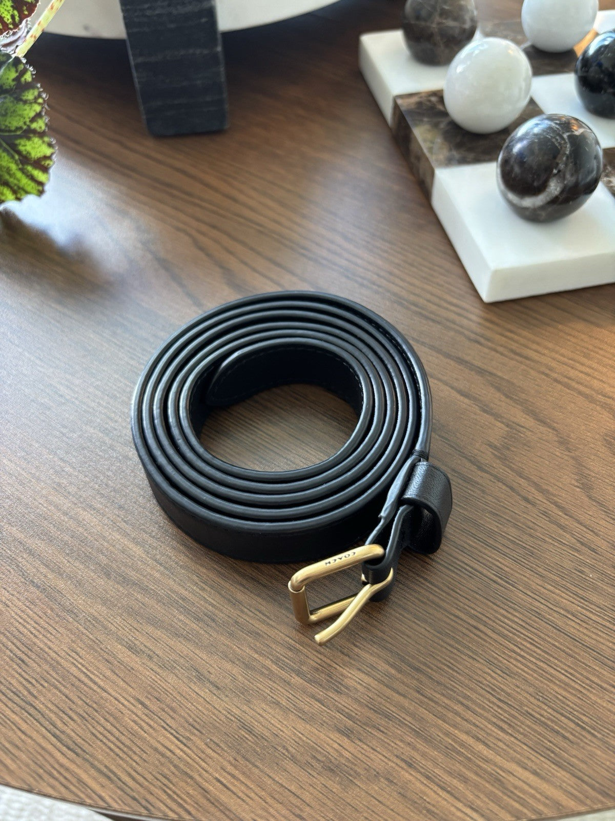 COACH Designer Belt Black Thin Leather Classic Gold Buckle Size 31-36 (org $195)