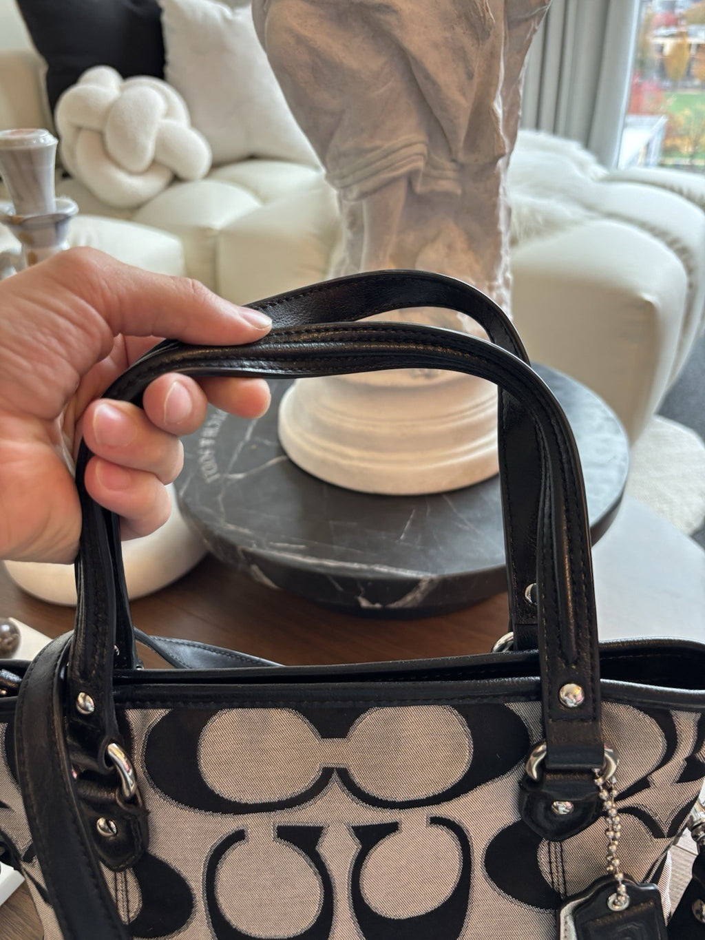 Designer COACH Brand Daisy Outline Signature Mia Crossbody F23940 Silver/Black
