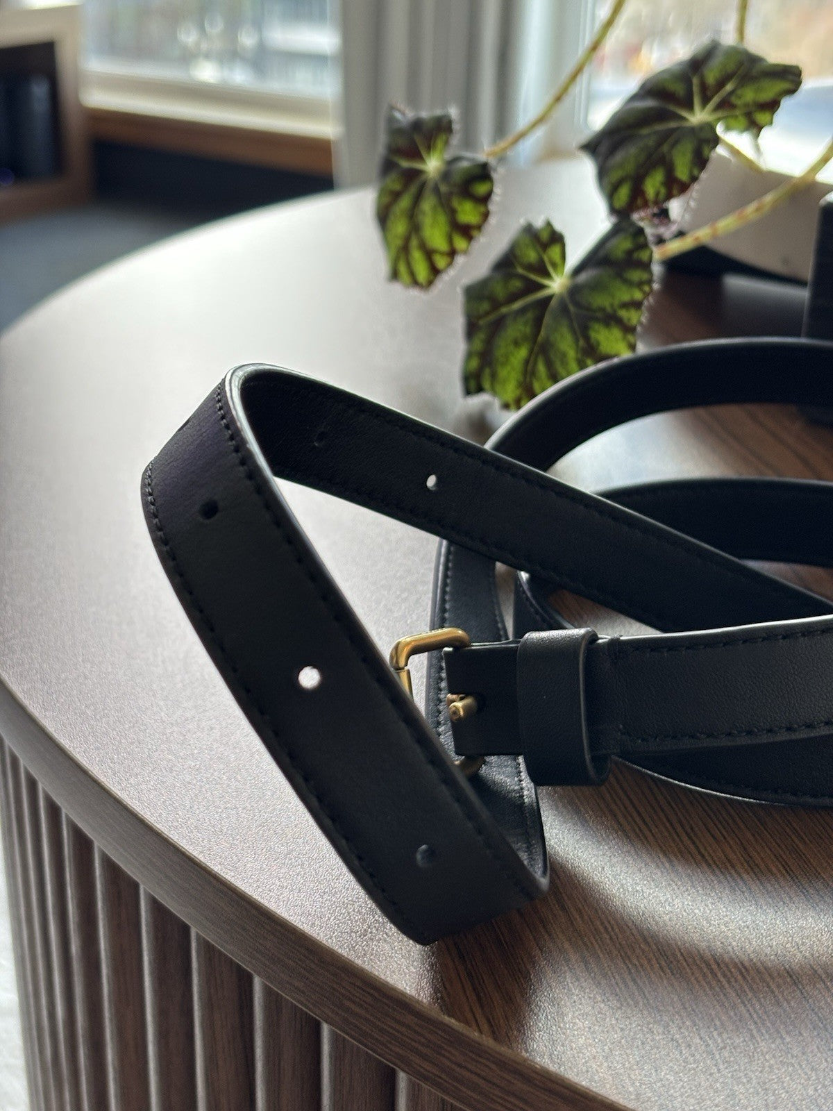 COACH Designer Belt Black Thin Leather Classic Gold Buckle Size 31-36 (org $195)