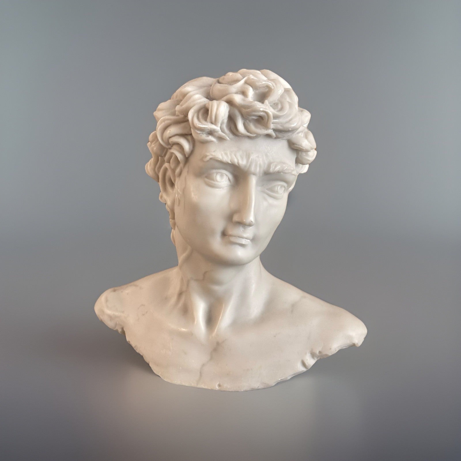 VINTAGE 1992 Michelangelo’s David Statue Bust Hand Made Marble Look Home Decor