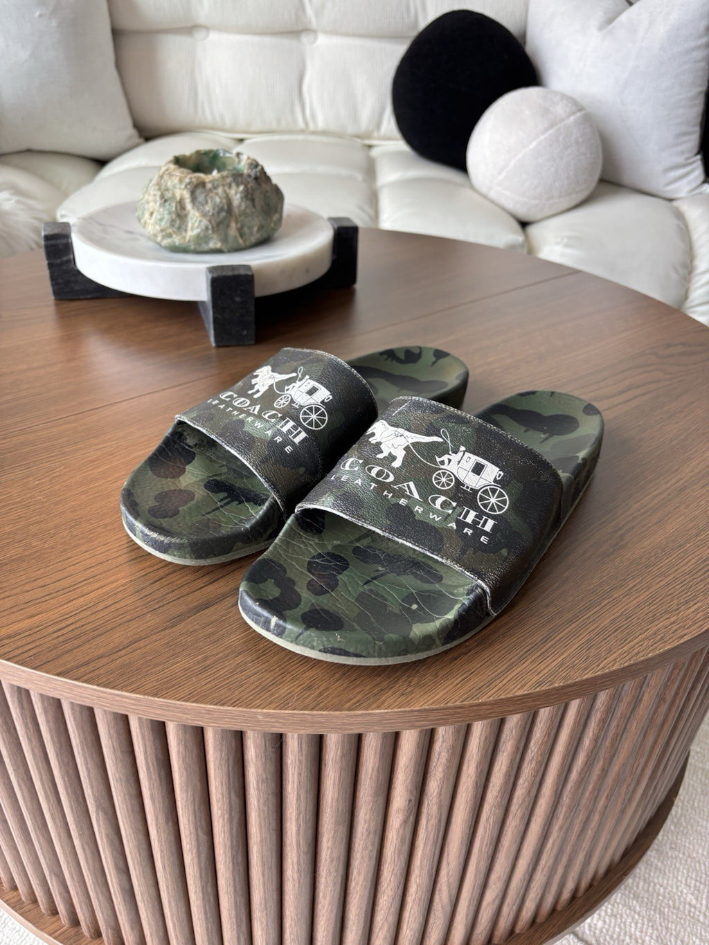 COACH Designer Pool Slide Shoe Camo Dinosaur Rexy Logo Sandals Men 11 (org $225)