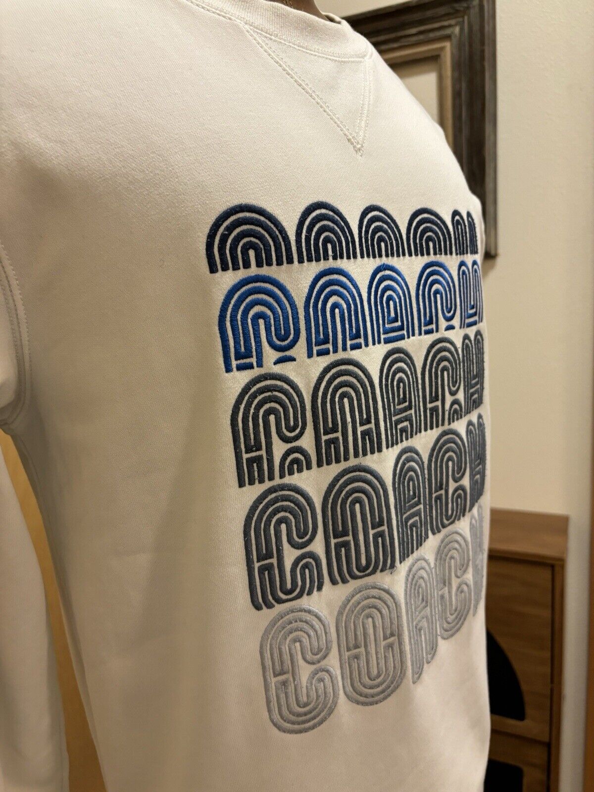 Retro COACH Designer Mens Logo Crewneck Signature Sweatshirt White Size S ($250)