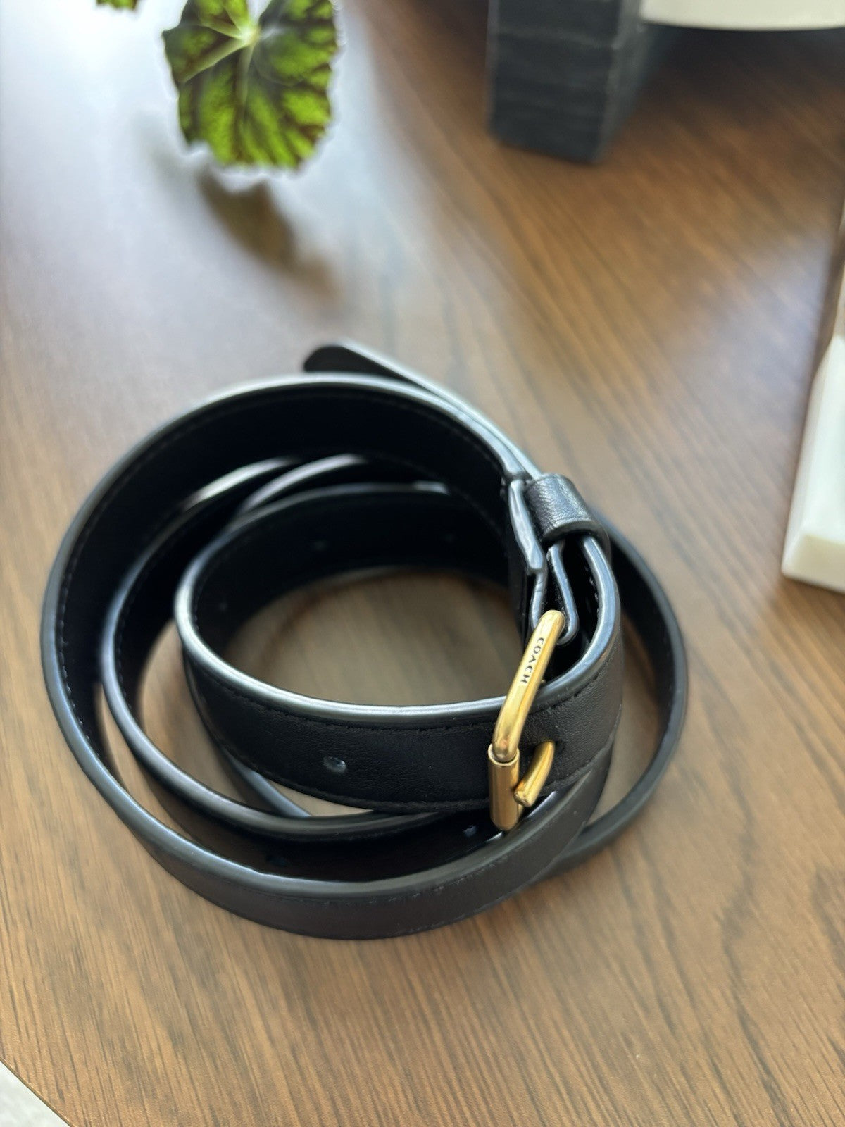 COACH Designer Belt Black Thin Leather Classic Gold Buckle Size 31-36 (org $195)