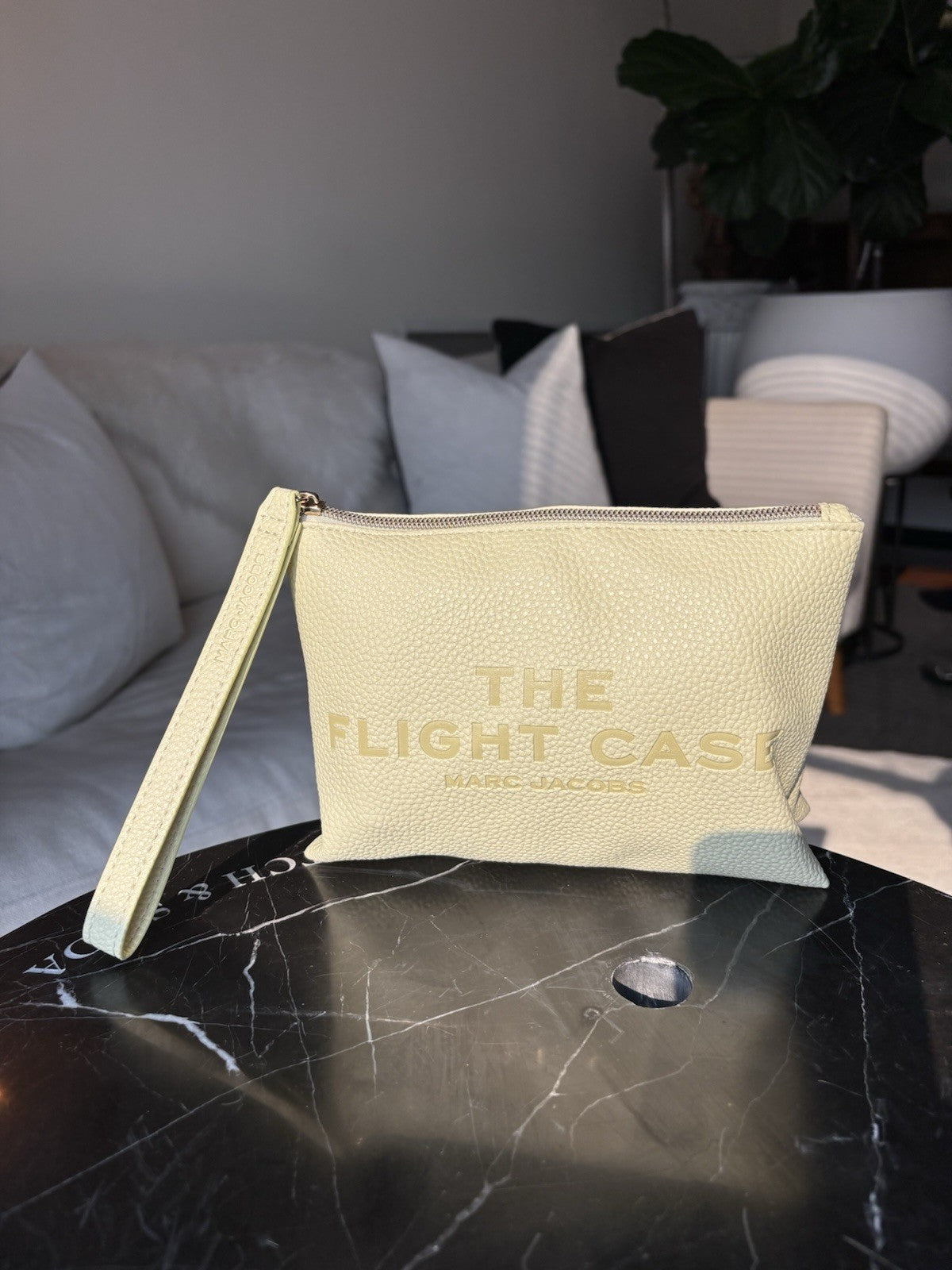 MARC JACOBS “THE FLIGHT CASE” Pebbled Leather Wristlet Case Pale/Mint Green NWOT
