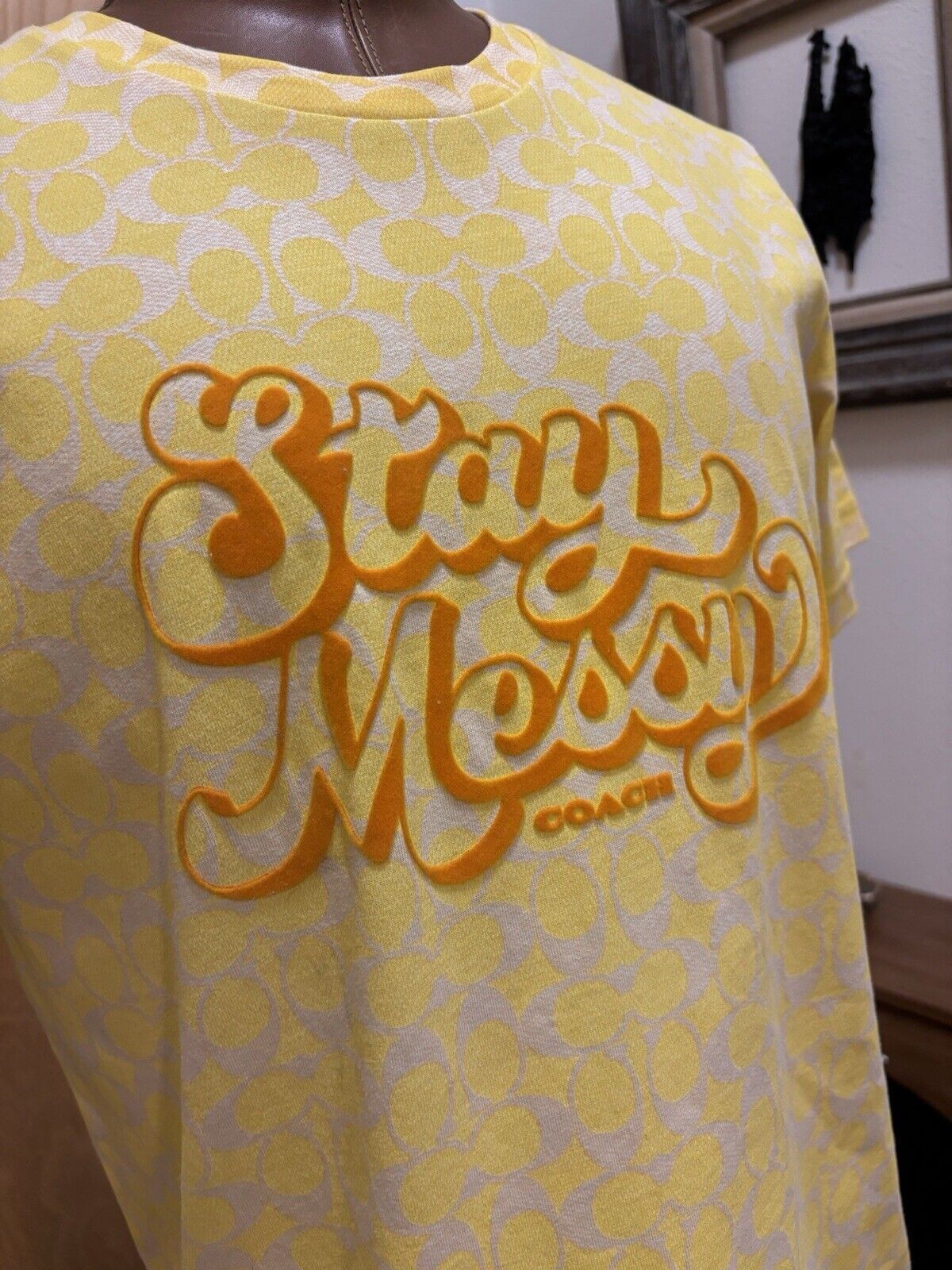 COACH Designer T Shirt Retro Fuzzy Graphic “Stay Messy” Yellow Size M (org $150)