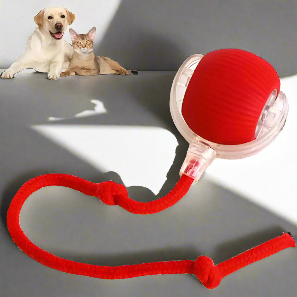 COSMO SPHERE // 360 “smart” rolling pet ball