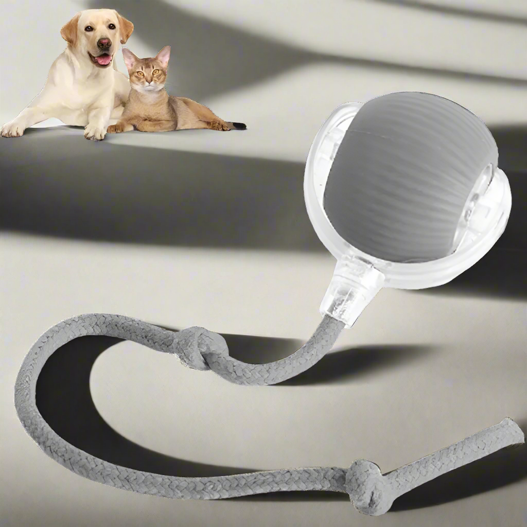 COSMO SPHERE // 360 “smart” rolling pet ball