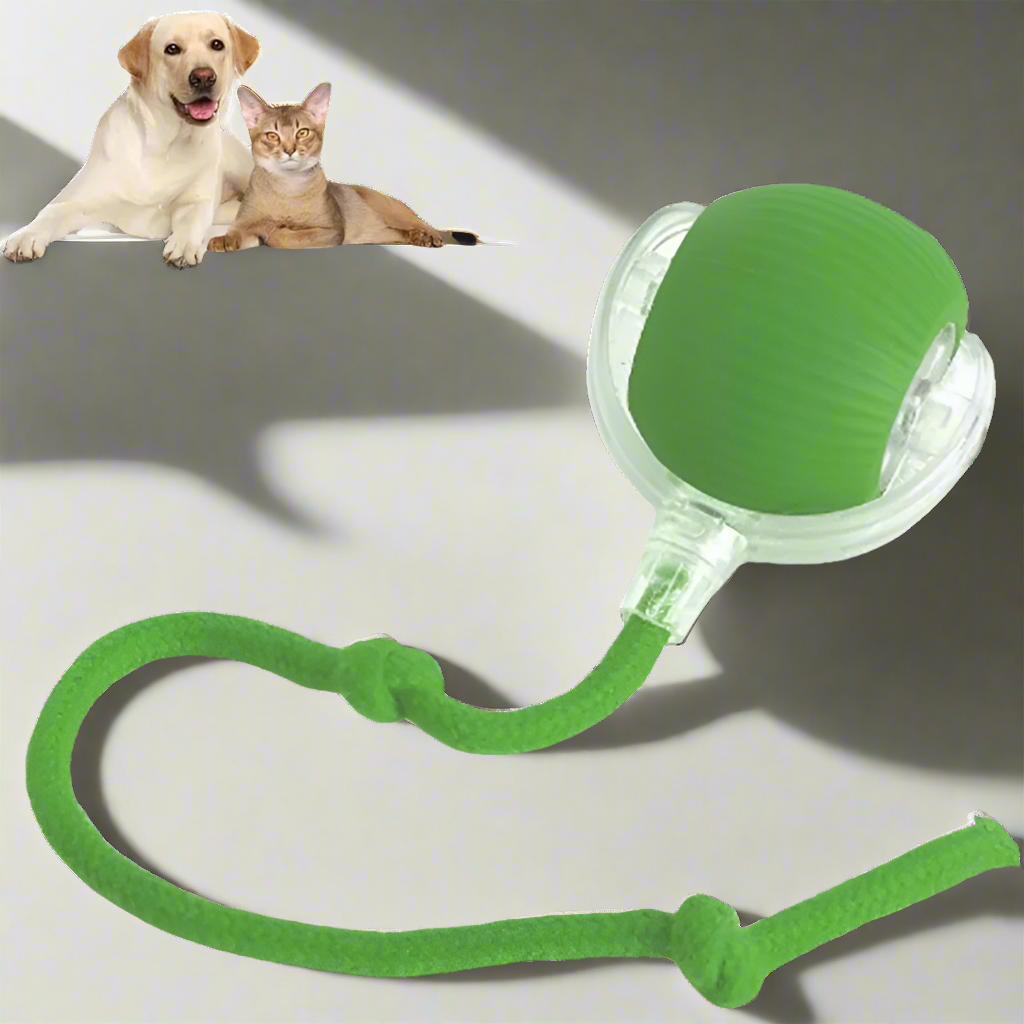 COSMO SPHERE // 360 “smart” rolling pet ball