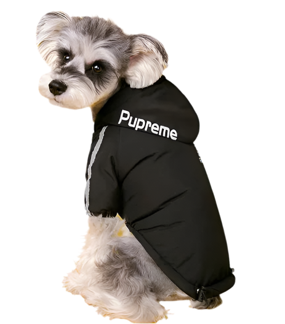 ASTROPUP // pupreme dog jacket