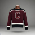 COACH Retro Cheerleader Top Wool Knit Varsity Stripes Letterman Sweater (org $450)