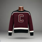COACH Retro Cheerleader Top Wool Knit Varsity Stripes Letterman Sweater (org $450)