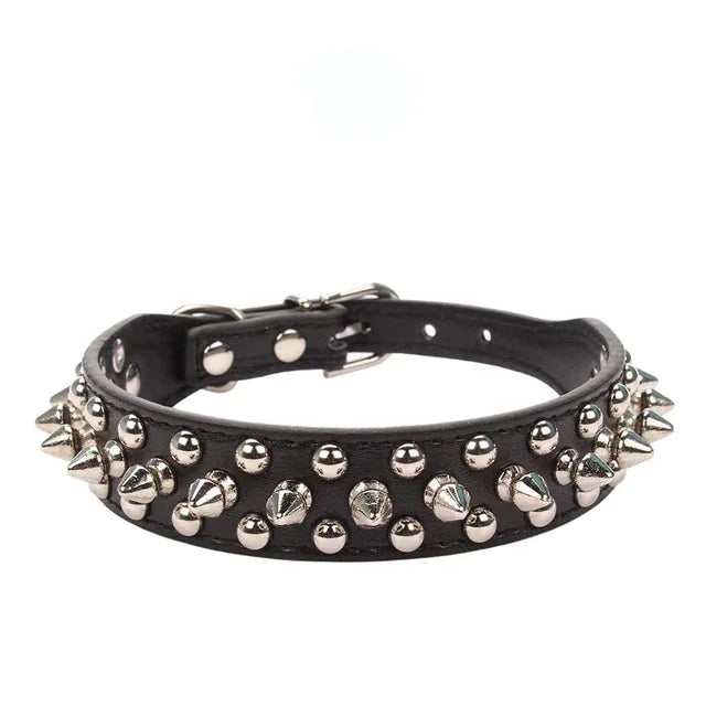 CORE SPIKES // pet collar