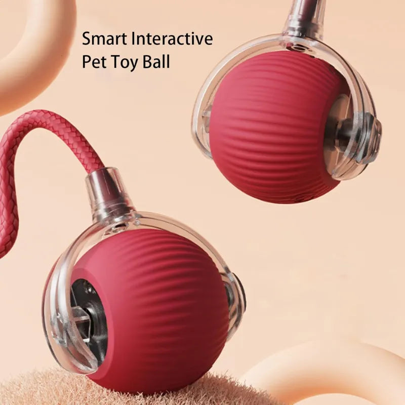 COSMO SPHERE // 360 “smart” rolling pet ball