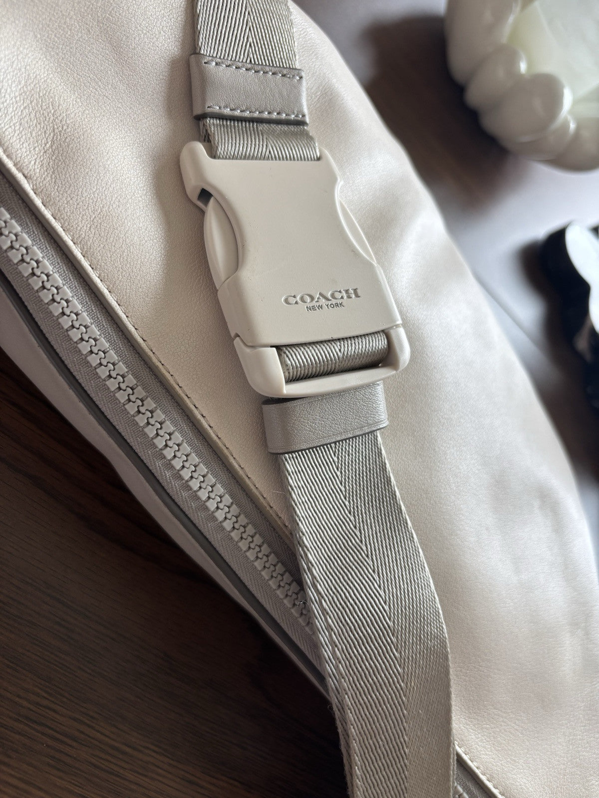 COACH Brand Rivington Belt Bag & Fanny Bag Crossbody with LOGO Patch (org $350)